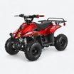 Red Coolster ATV with rugged design, rear utility rack, compact size and off-road tires, perfect for offroading adventures.